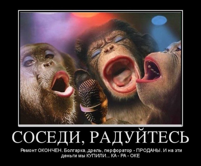 С днём рождения обезьянка