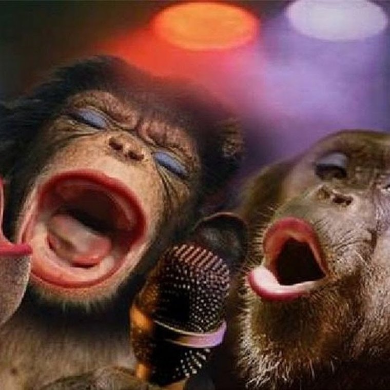 С днём рождения Андрюха прикольные