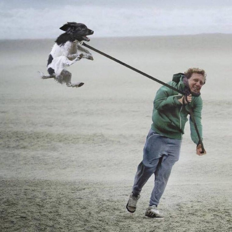 Сильный ветер смешное