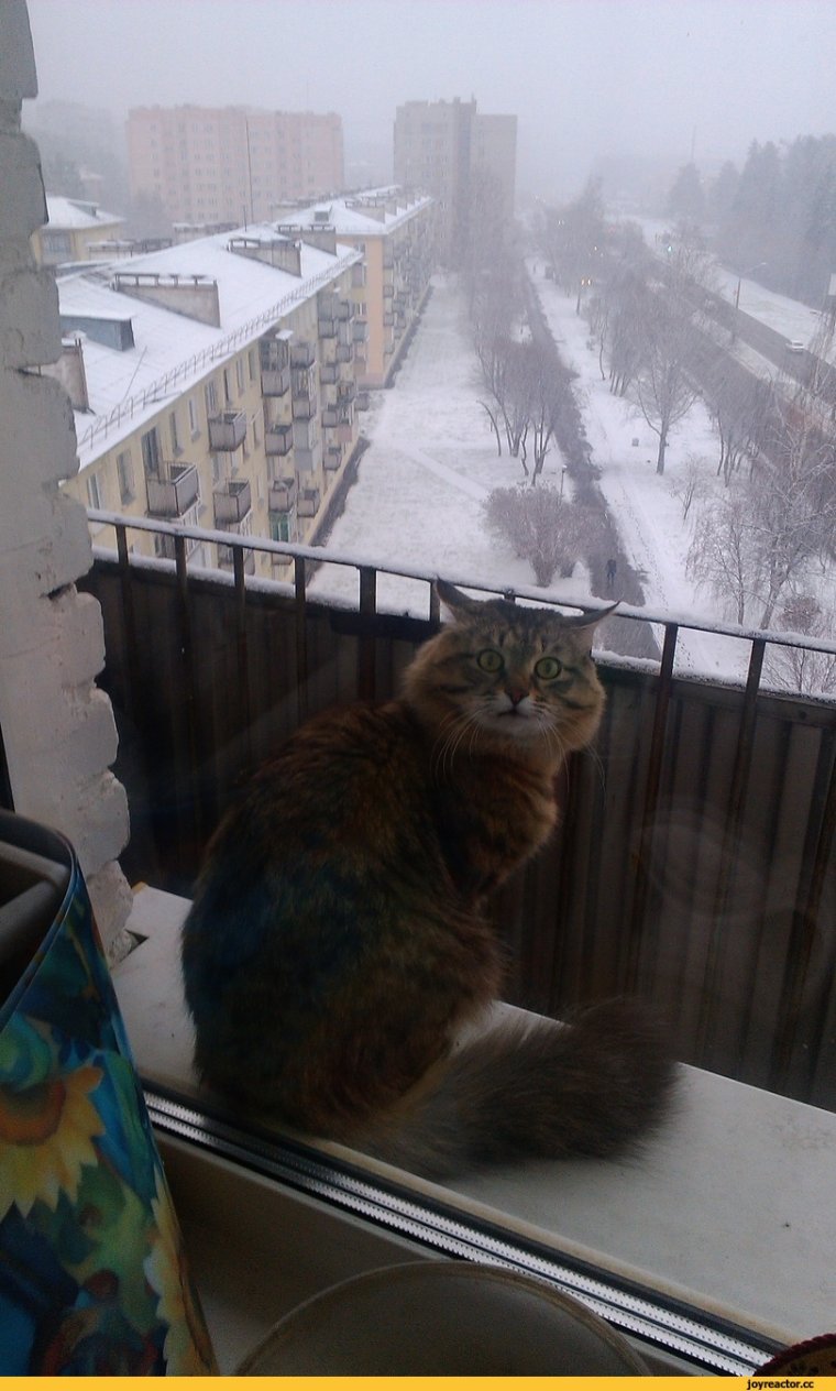 Снег на балконе