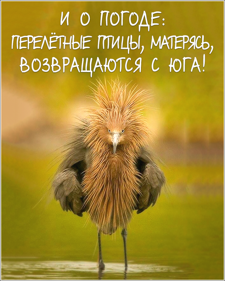 Настроение сегодня