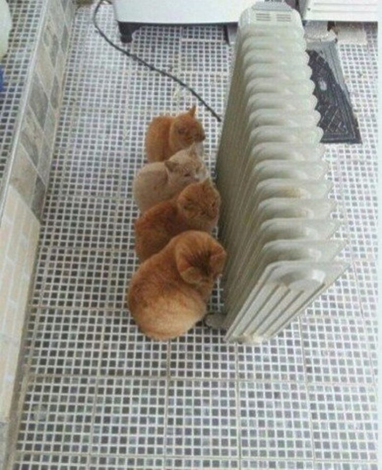 Коротко о погоде юмор