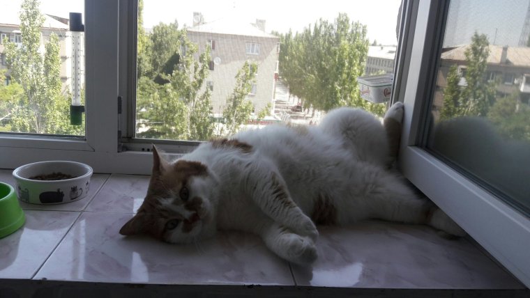 Коротко о погоде