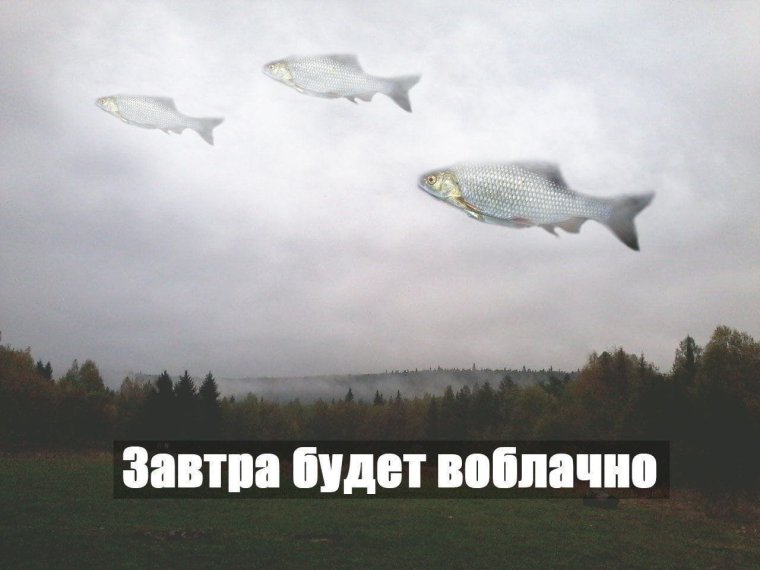 Созрел вопрос Мем