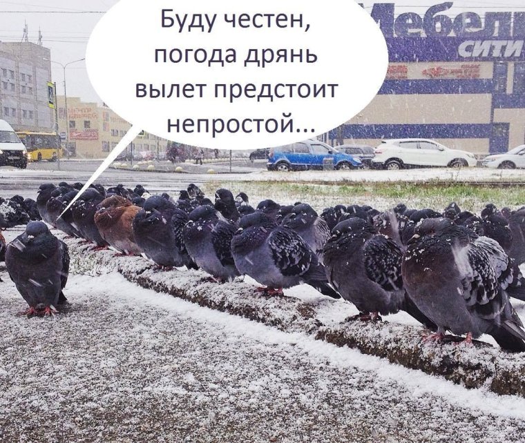 Шутки про погоду