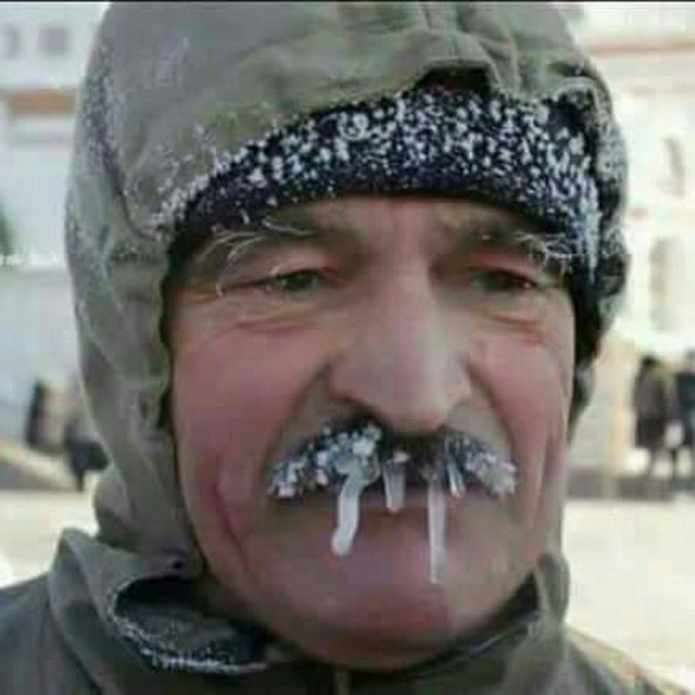 Короткометражки про жару