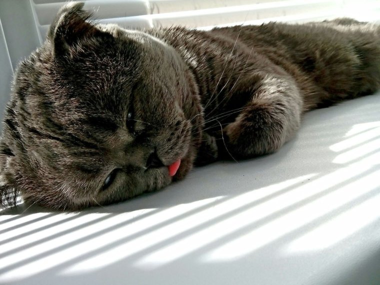 Коротко о погоде