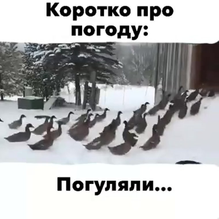 Видеоролик коротко о погоде