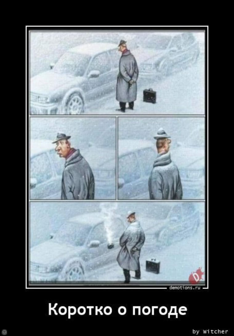 Сильный ветер смешное