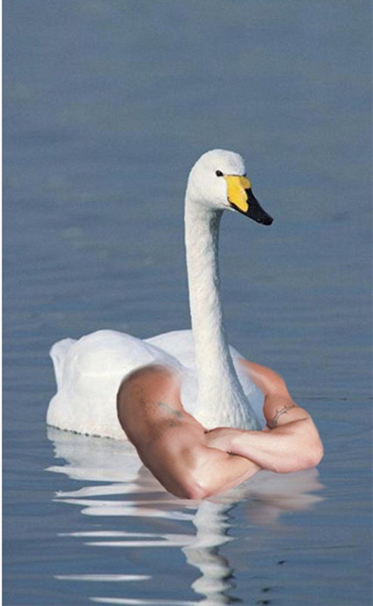 Гусь с человеческими руками