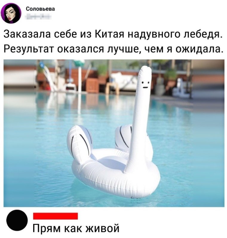 Надувной лебедь Мем