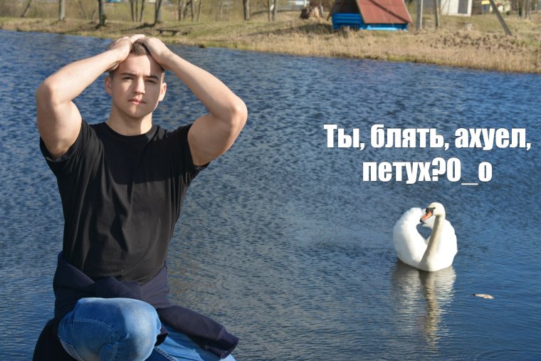 Лебедь нападает