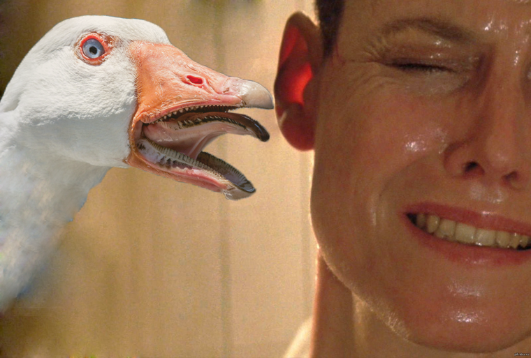 Страшные утки