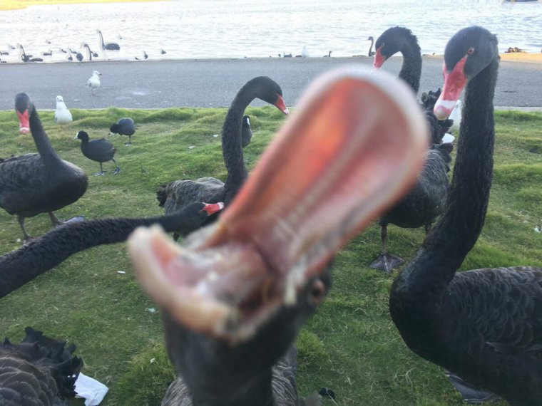 За секунду до неизбежного