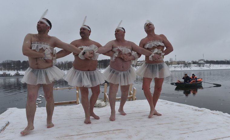 Картинки шипуна где он кушает