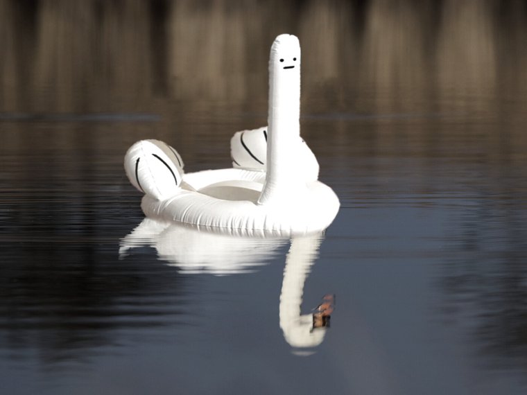 Лебедь прикол