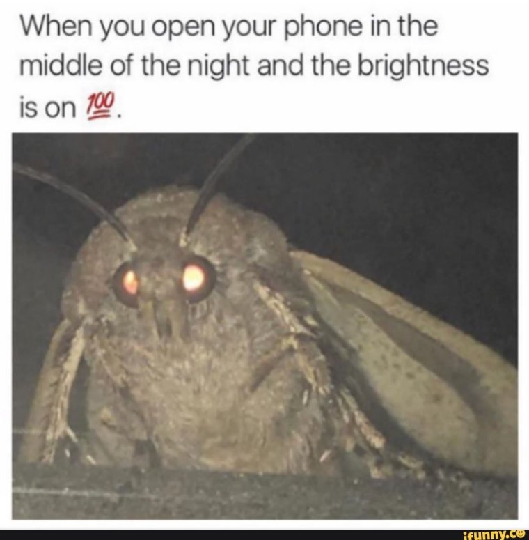 Мотылек Мем