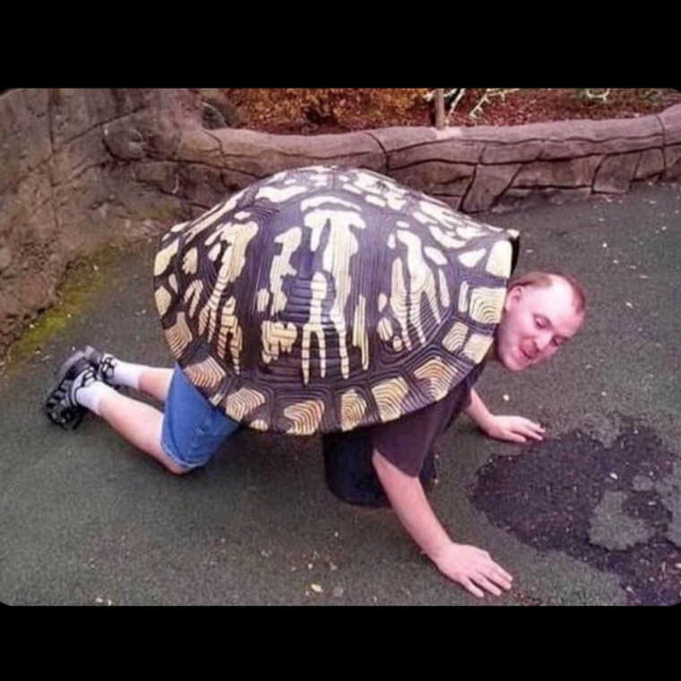 Черепаха алкоголик