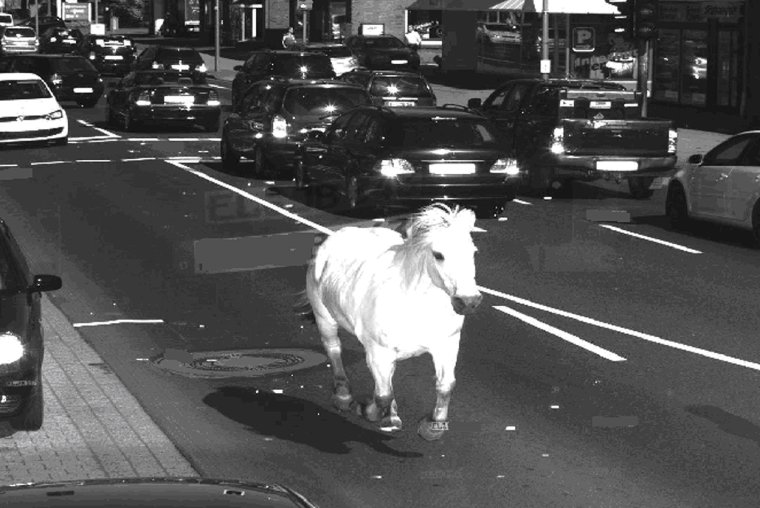 Штраф с камеры прикол