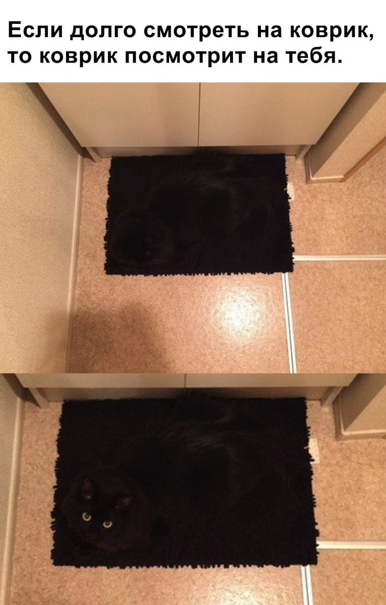 Если долго всматриваться в бездну бездна