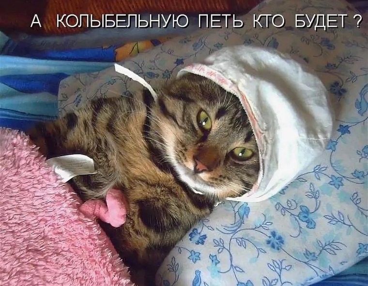 Я спать спокойной ночи