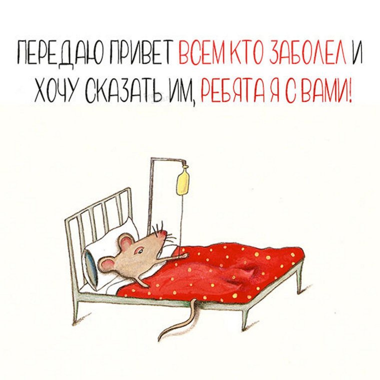 Смешные больные животные