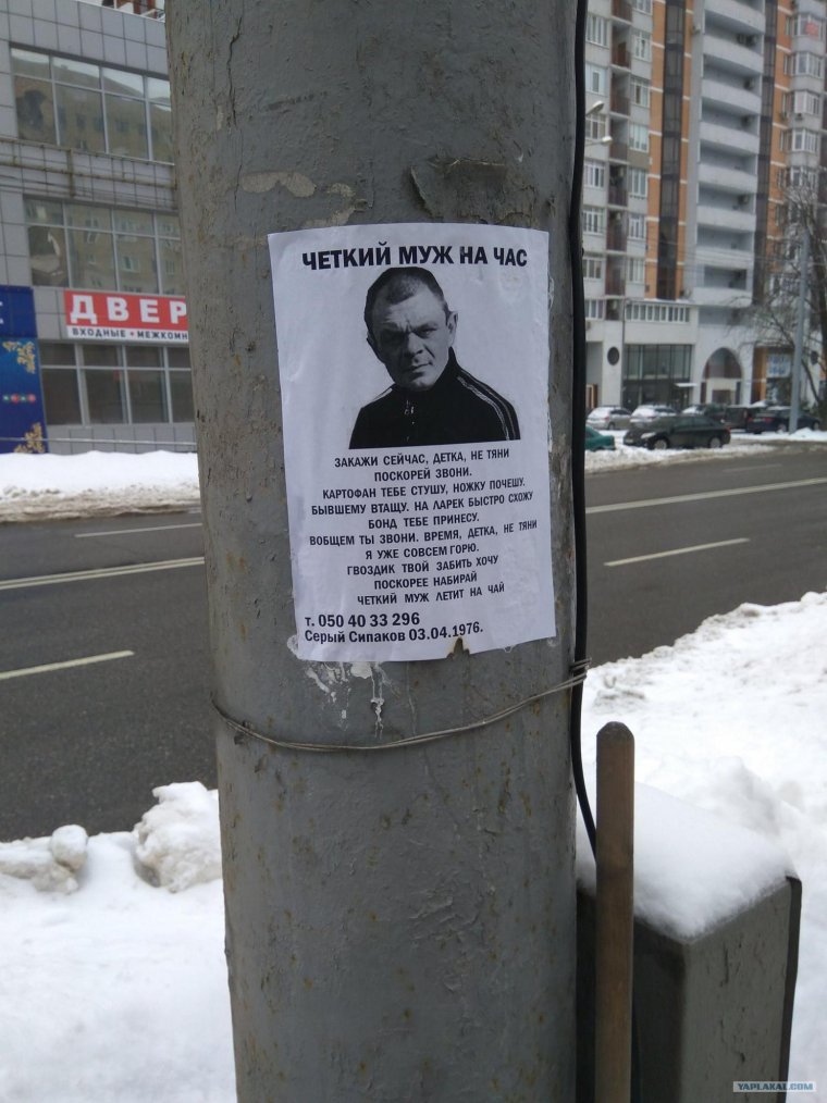 Четкий муж на час