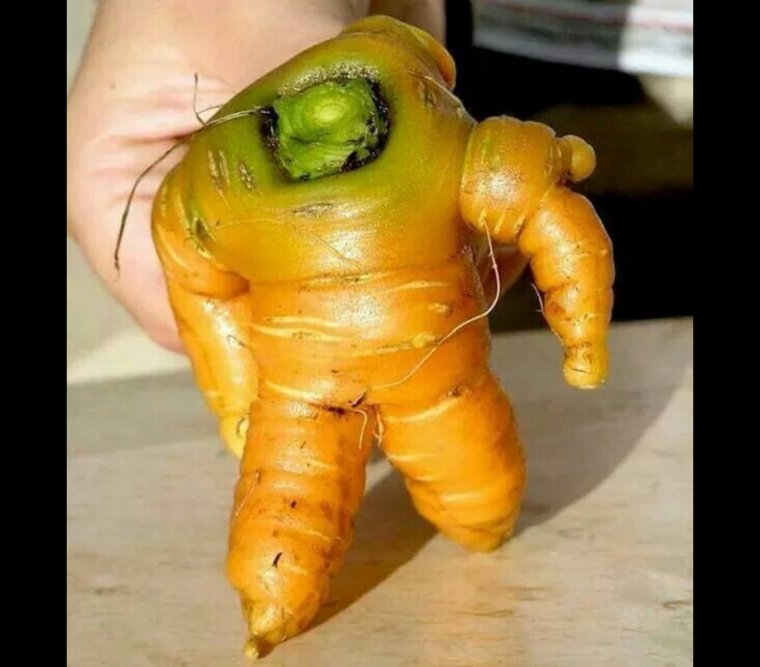 Морковка юмор