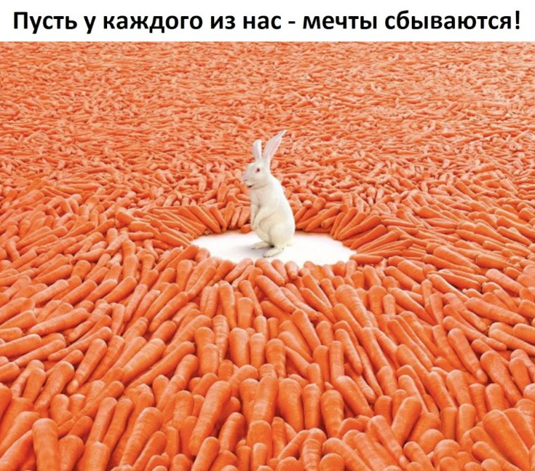 Мотивация морковка спереди