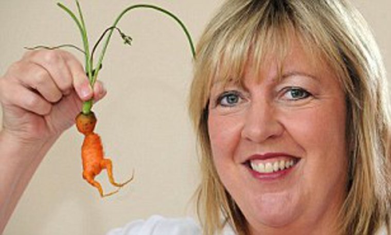 Радиоактивная морковь