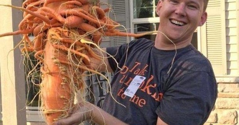 Необычные большие морковки