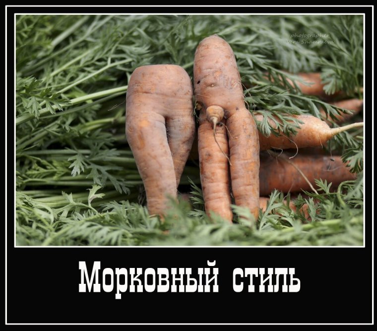 Морковь юмор