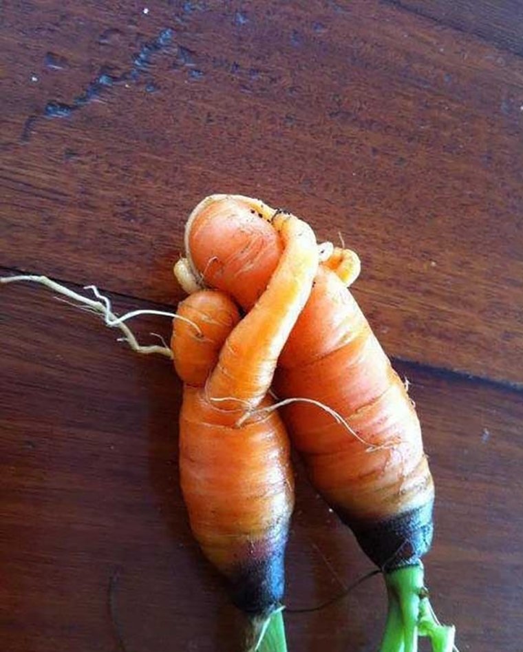 Любовь морковь приколы