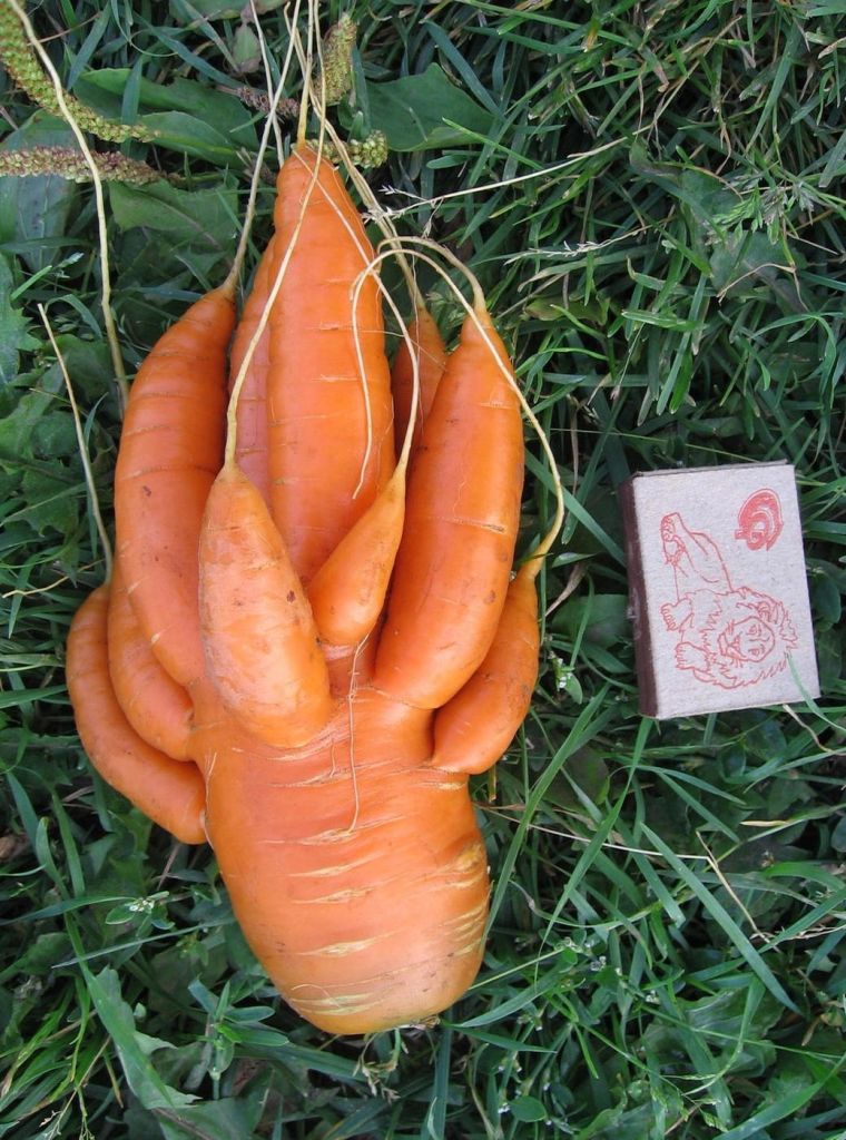 Смешные овощи и фрукты