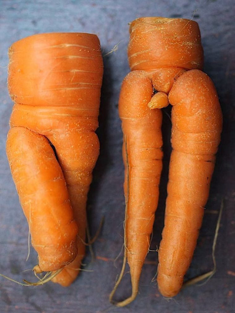 Смешная морковь