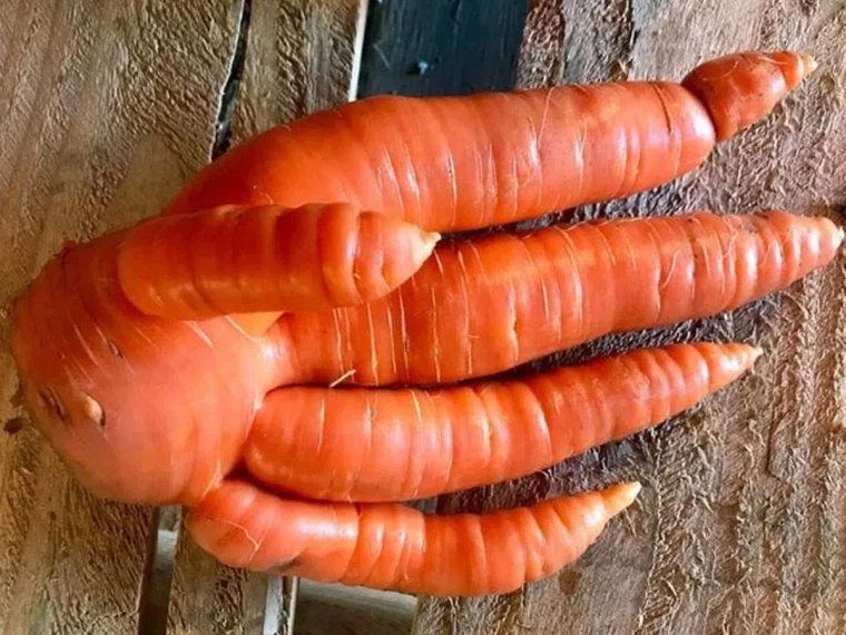 Морковь необычной формы