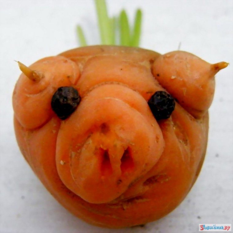 Овощи необычной формы