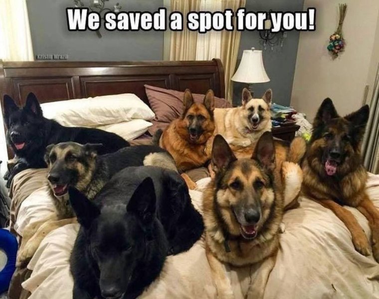 Друзей на воле много не бывает