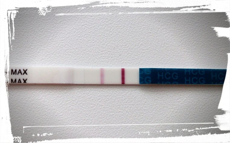 Заветные две полоски