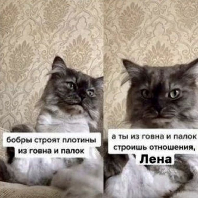 Обидеть ленку может каждый не каждый может убежать