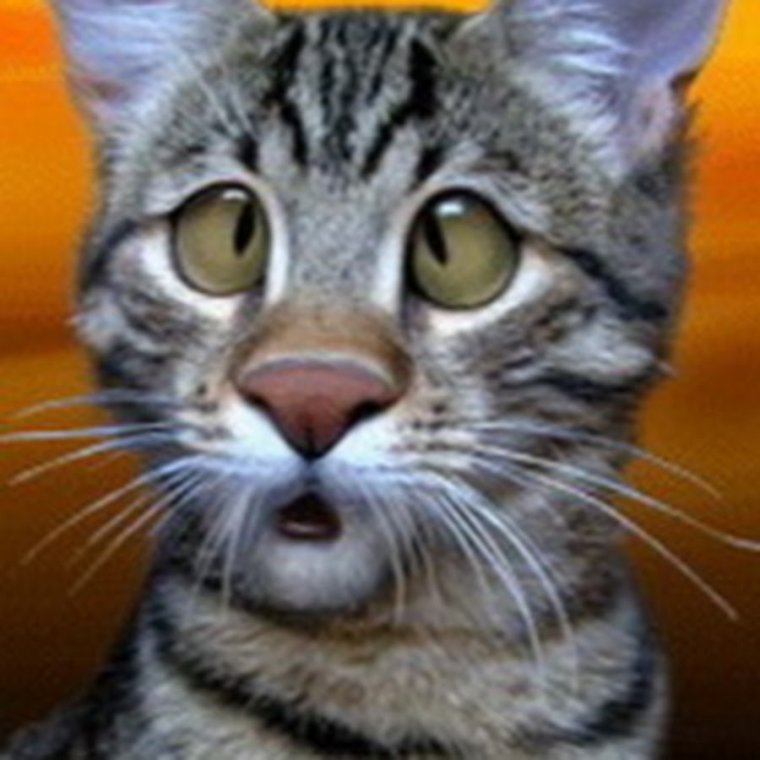 Бабки на лавке сплетни