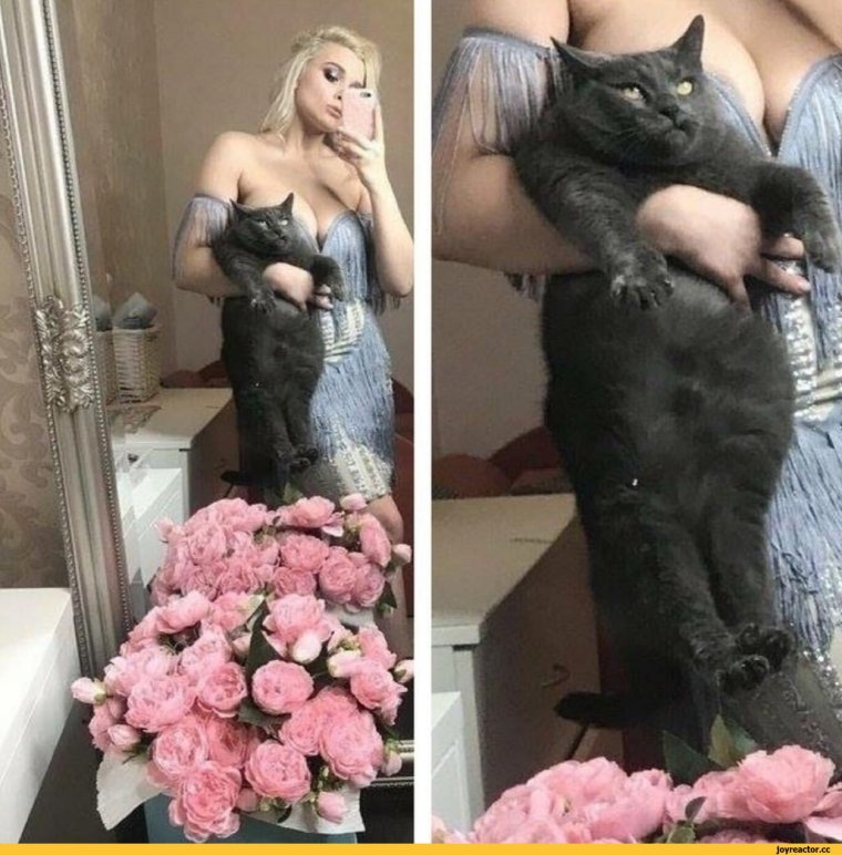 Приколы про усталость