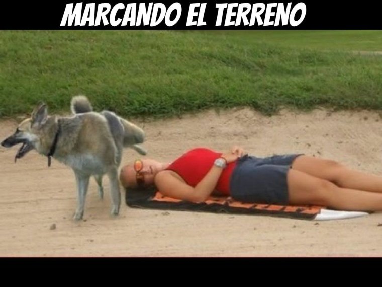 Показалось глаз