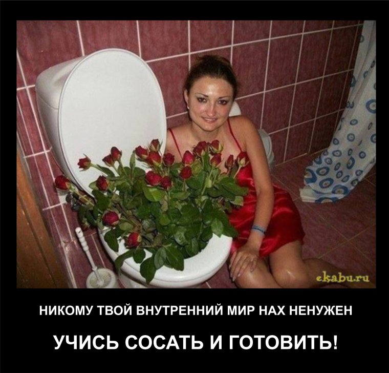 Демотиваторы с цветами