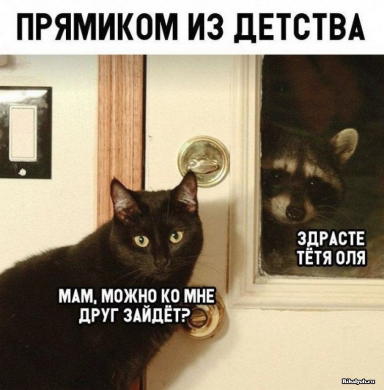 Тетя Оля юмор