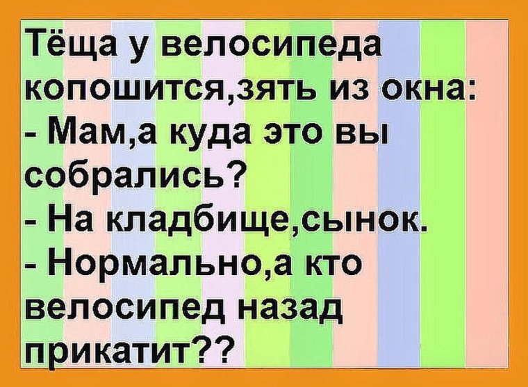 Поговорки про зятя