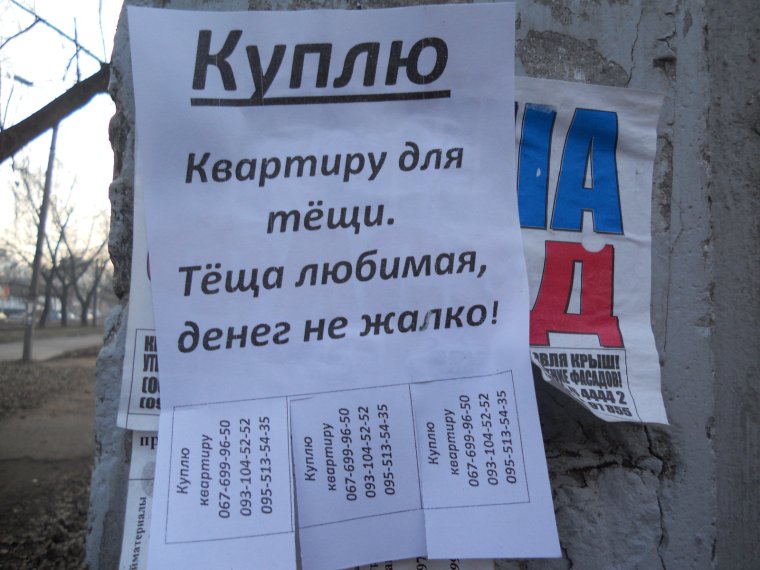 Анекдоты про тещу и свекровь