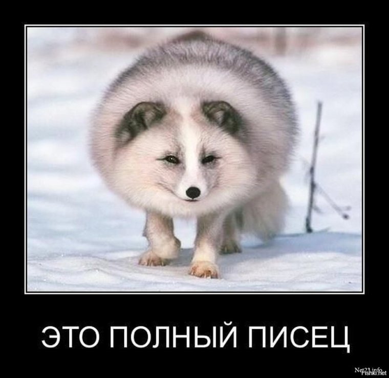 Писец смешной