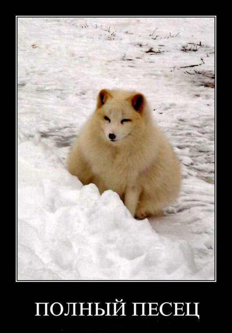 Прикольный писец