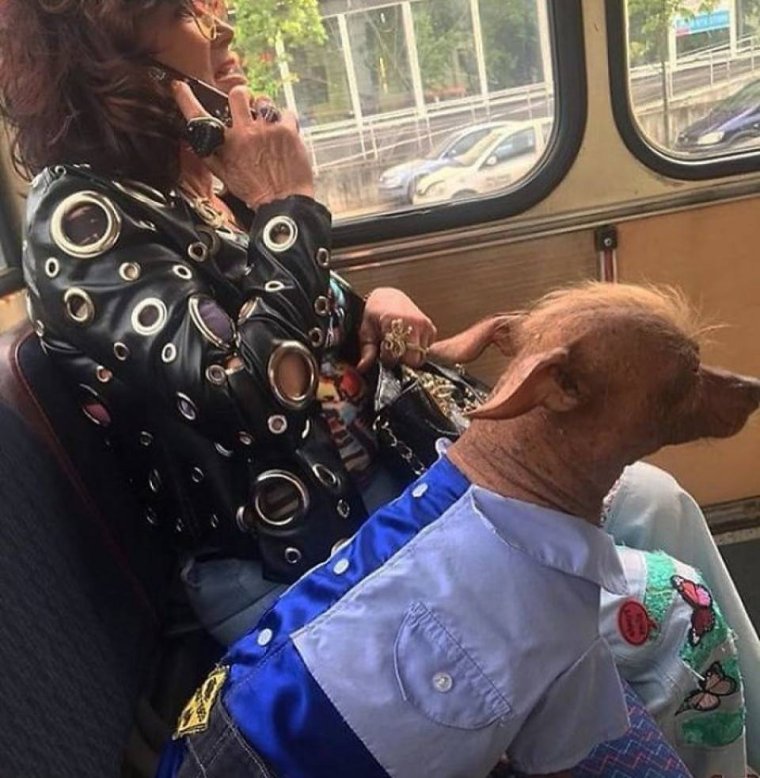 Смешные люди в общественном транспорте